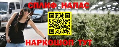 гашик Старая Купавна